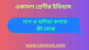 দাগ ও হুলিয়া বলতে কী বোঝ