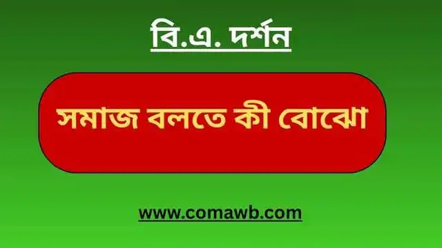 সমাজ বলতে কী বোঝো