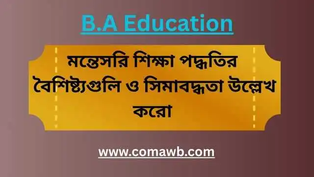 মন্তেসরি শিক্ষা পদ্ধতির বৈশিষ্ট্য