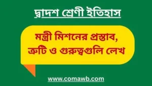 মন্ত্রী মিশনের প্রস্তাব, ত্রুটি ও গুরুত্বগুলি লেখ