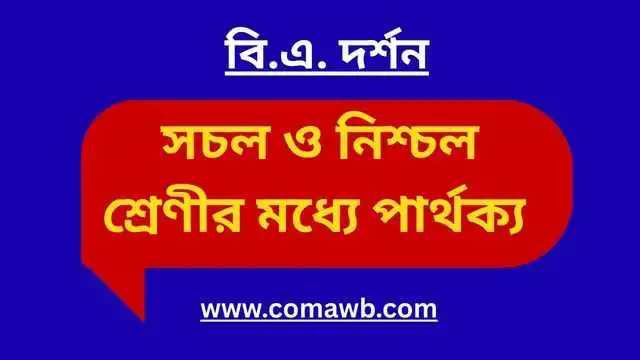 সচল ও নিশ্চল শ্রেণীর মধ্যে পার্থক্য 