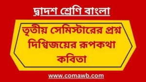 দিগ্বিজয়ের রূপকথা কবিতা