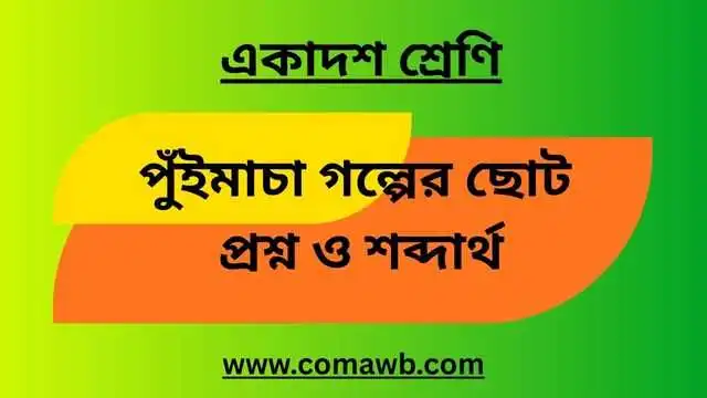 পুঁইমাচা গল্পের ছোট প্রশ্ন ও শব্দার্থ