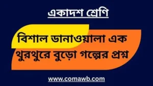 বিশাল ডানাওয়ালা এক থুরথুরে বুড়ো গল্পের প্রশ্ন